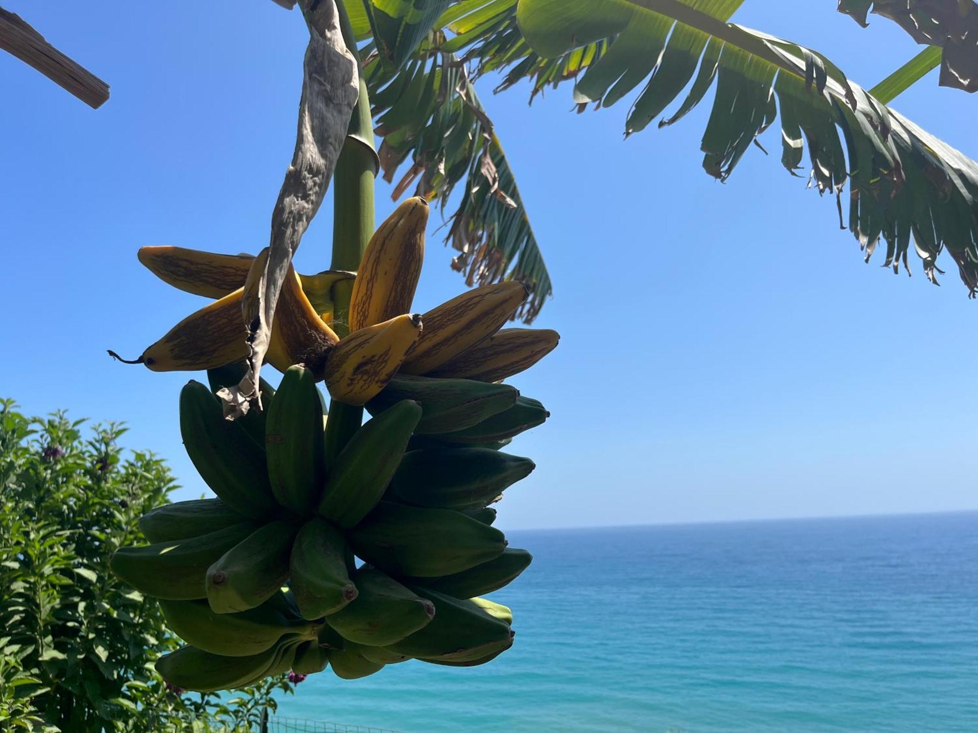 Casa Monnalisa - Calandre Sabbie Oro Villa Ventimiglia Eksteriør billede